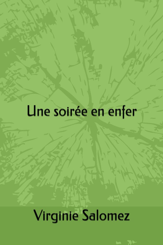 Couverture du livre Une soirée en enfer de Virginie Salomez